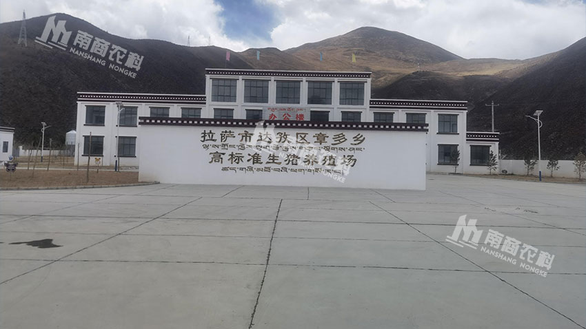 西藏拉萨高标准生猪养殖场