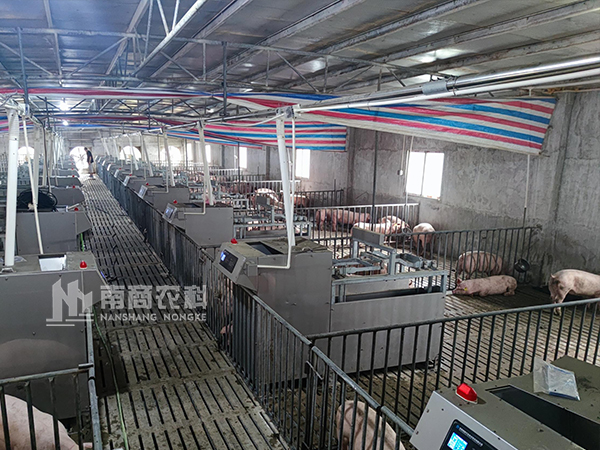 南商农科种猪测定站入驻鲲鹏研究院，助推种猪业高质量发展