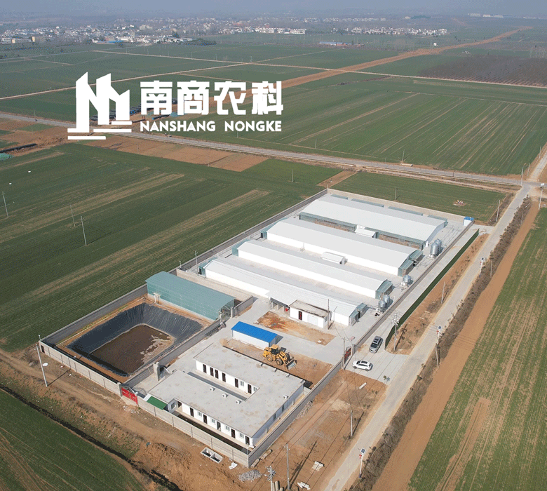  南商农科：邓州市南商农科实验猪场即将投产。